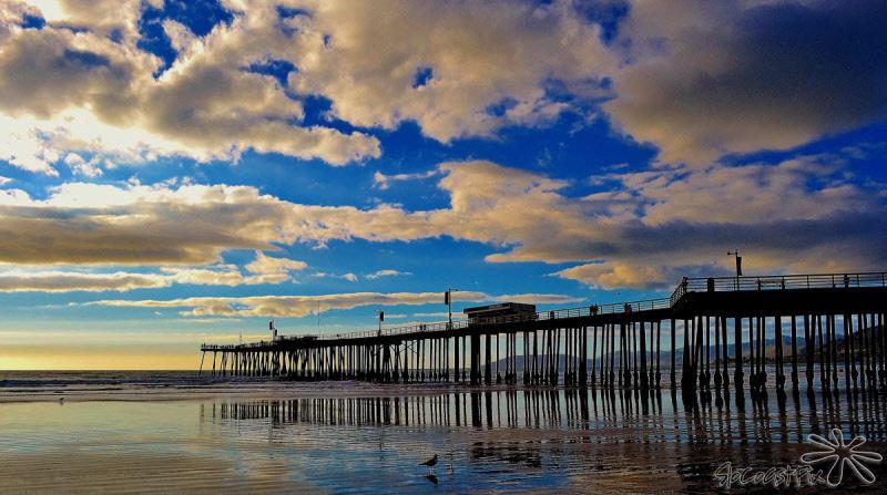 Sandcastle Hotel On The Beach Pismo Beach Dış mekan fotoğraf